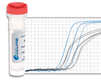 qMAX Probe qPCR